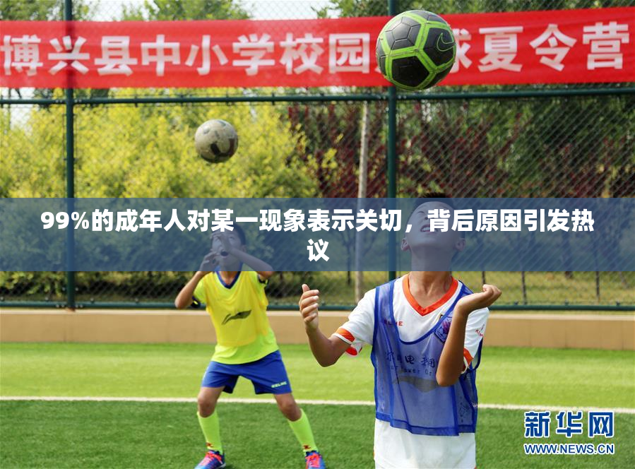 99%的成年人对某一现象表示关切，背后原因引发热议