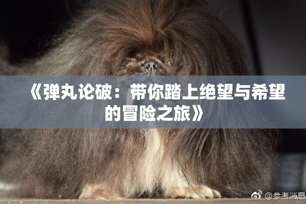 《弹丸论破：带你踏上绝望与希望的冒险之旅》