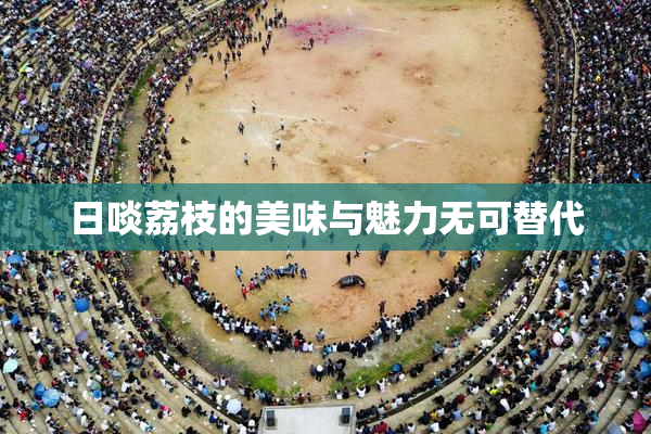日啖荔枝的美味与魅力无可替代
