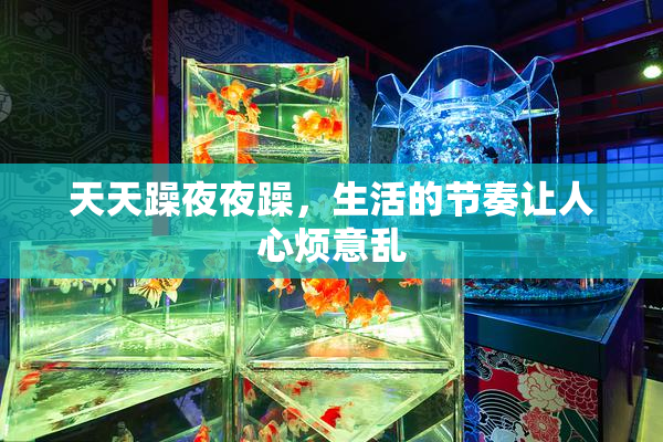 天天躁夜夜躁，生活的节奏让人心烦意乱