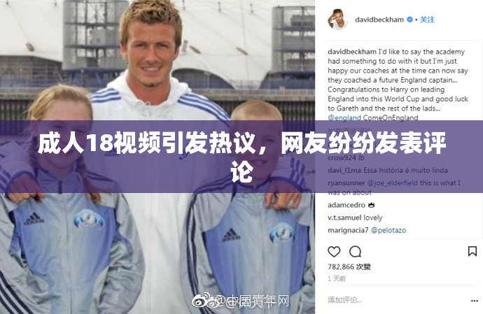 成人18视频引发热议，网友纷纷发表评论