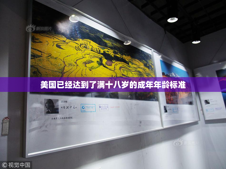 美国已经达到了满十八岁的成年年龄标准