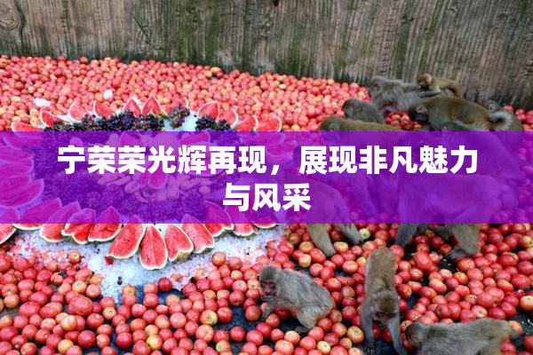 宁荣荣光辉再现，展现非凡魅力与风采