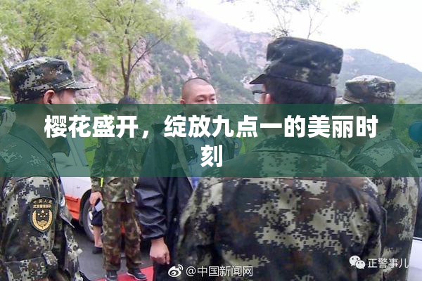 樱花盛开，绽放九点一的美丽时刻