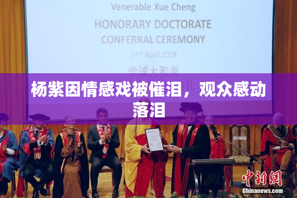 杨紫因情感戏被催泪，观众感动落泪