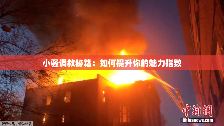 小骚调教秘籍：如何提升你的魅力指数