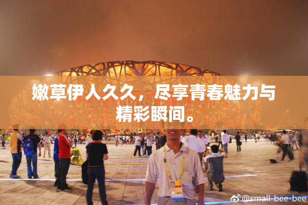 嫩草伊人久久，尽享青春魅力与精彩瞬间。