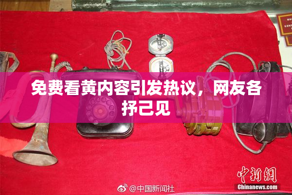 免费看黄内容引发热议，网友各抒己见
