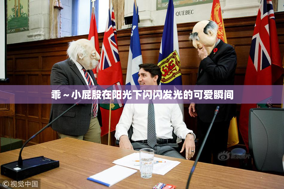 乖～小屁股在阳光下闪闪发光的可爱瞬间