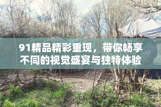 91精品精彩重现，带你畅享不同的视觉盛宴与独特体验