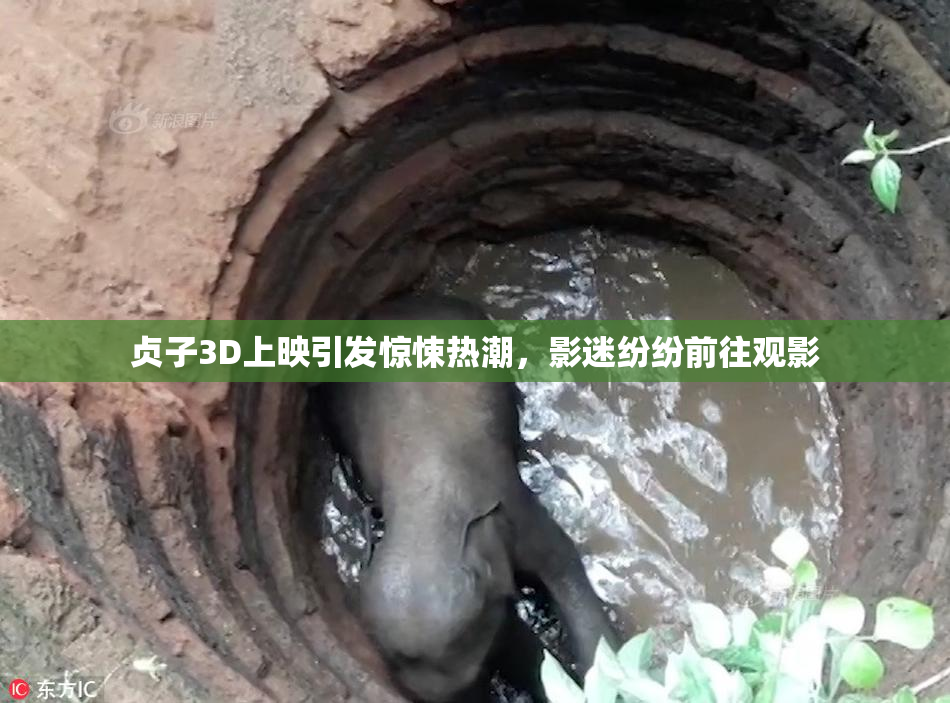 贞子3D上映引发惊悚热潮，影迷纷纷前往观影