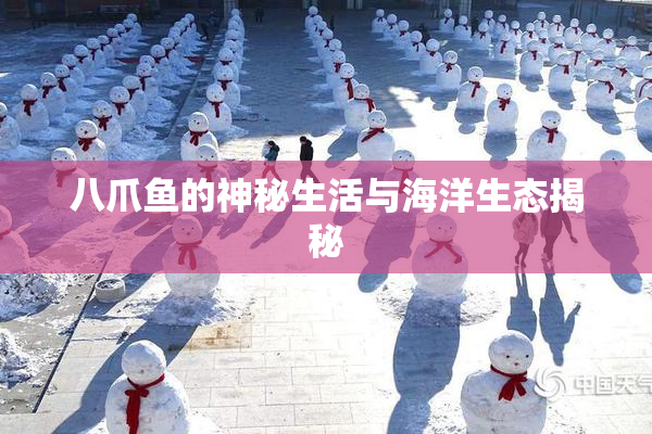 八爪鱼的神秘生活与海洋生态揭秘
