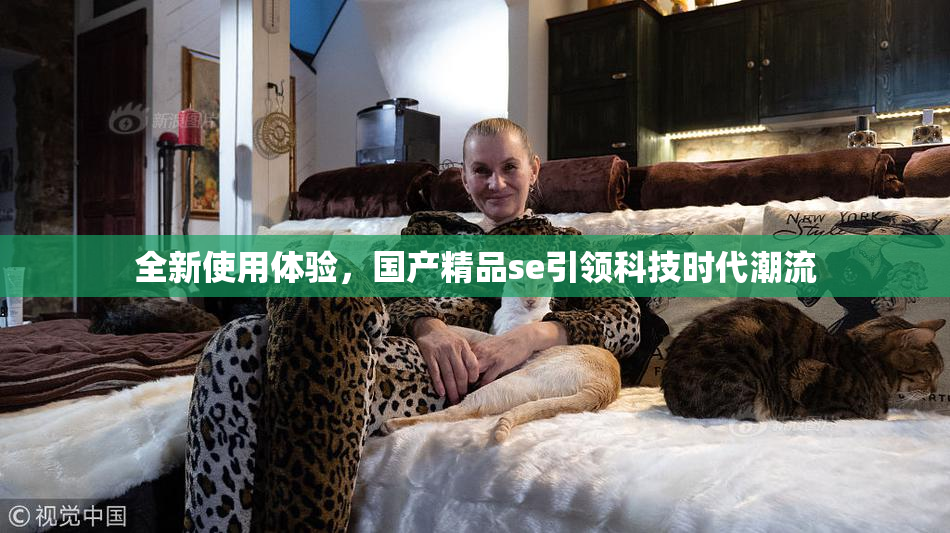 全新使用体验，国产精品se引领科技时代潮流