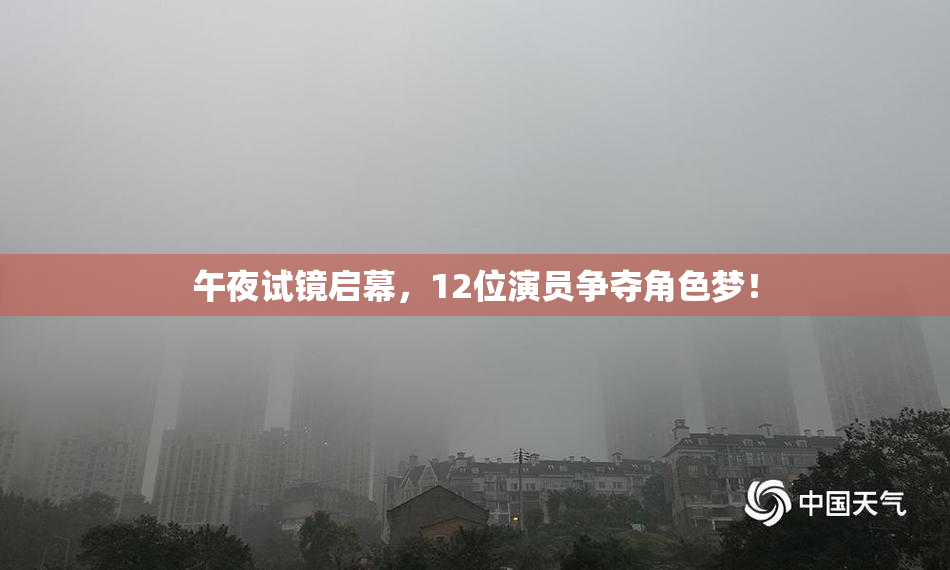 午夜试镜启幕，12位演员争夺角色梦！