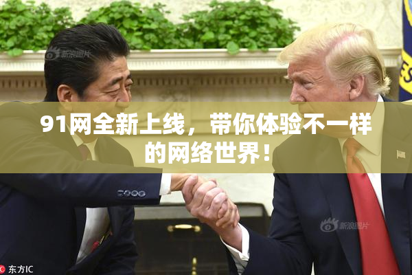 91网全新上线，带你体验不一样的网络世界！