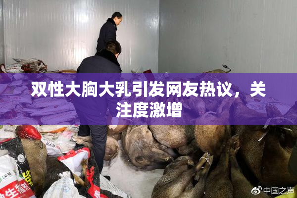 双性大胸大乳引发网友热议，关注度激增