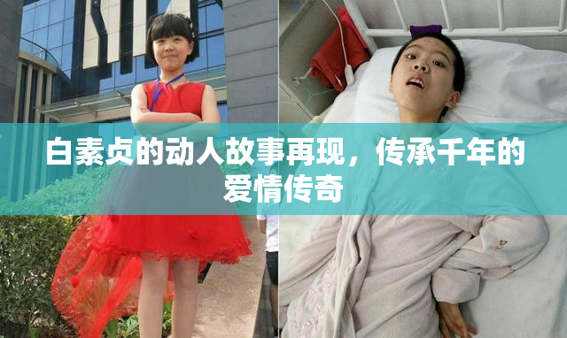 白素贞的动人故事再现，传承千年的爱情传奇