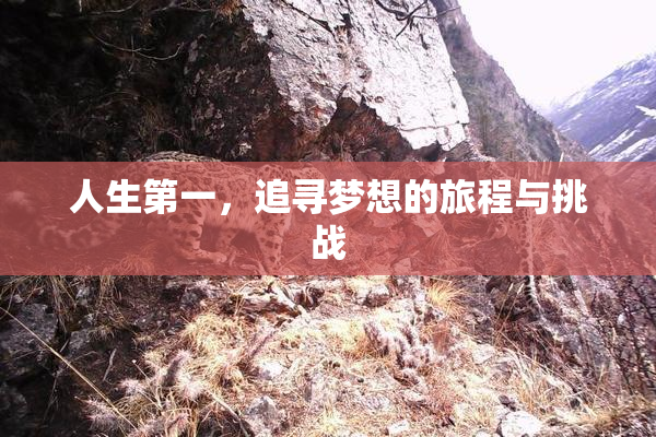 人生第一，追寻梦想的旅程与挑战