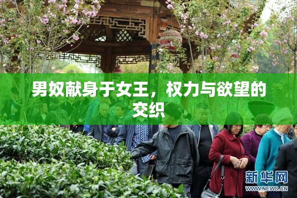 男奴献身于女王，权力与欲望的交织