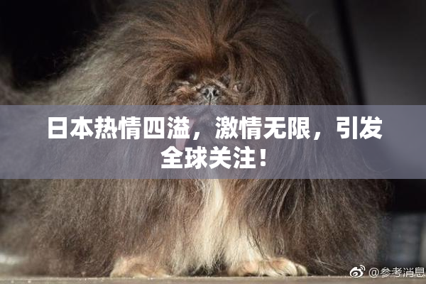 日本热情四溢，激情无限，引发全球关注！
