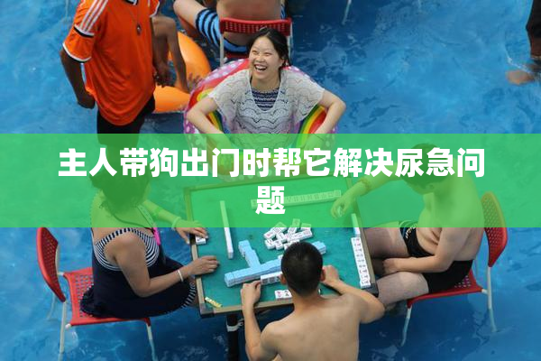 主人带狗出门时帮它解决尿急问题