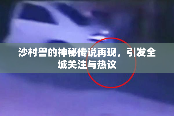 沙村兽的神秘传说再现，引发全城关注与热议