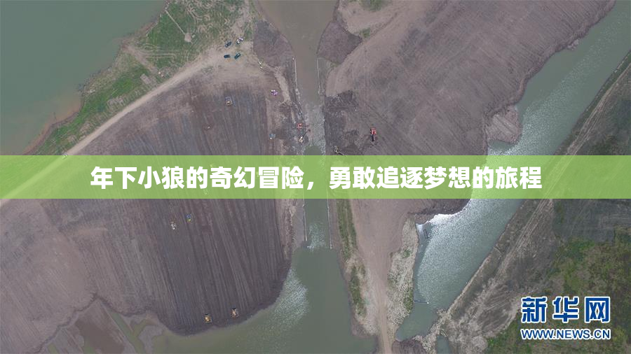 年下小狼的奇幻冒险，勇敢追逐梦想的旅程