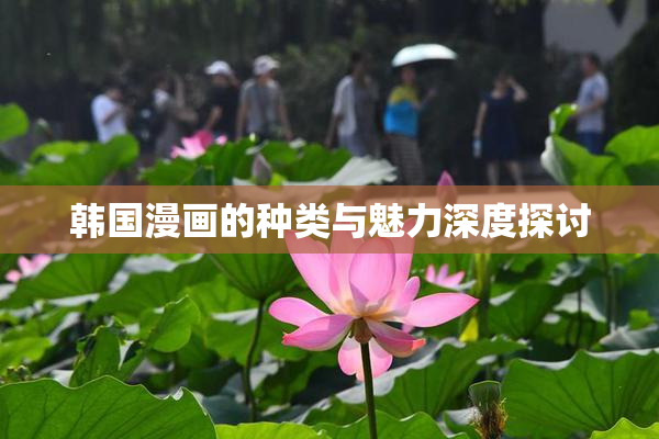 韩国漫画的种类与魅力深度探讨