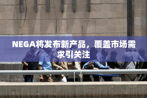 NEGA将发布新产品，覆盖市场需求引关注
