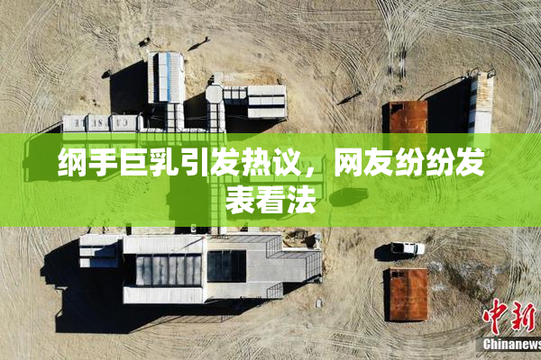 纲手巨乳引发热议，网友纷纷发表看法