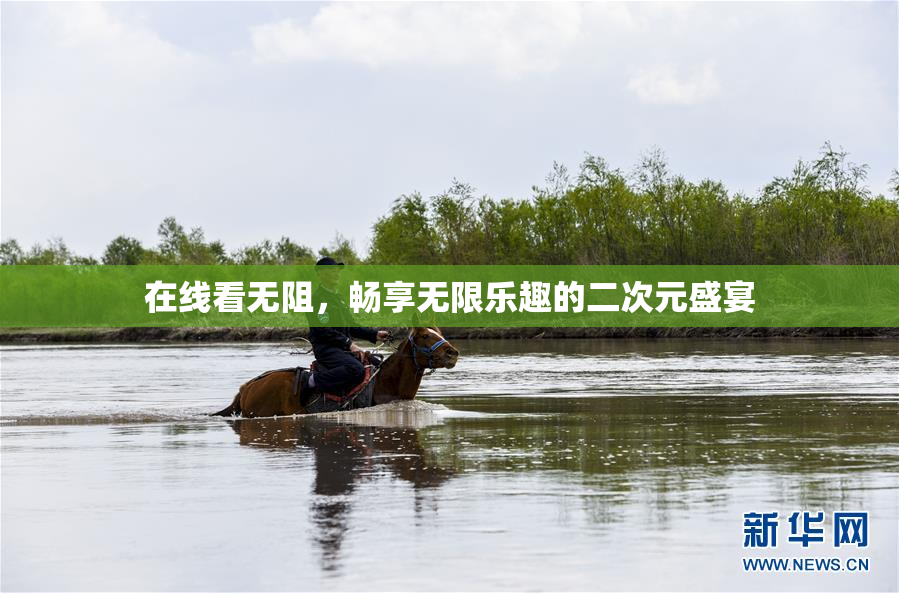 在线看无阻，畅享无限乐趣的二次元盛宴