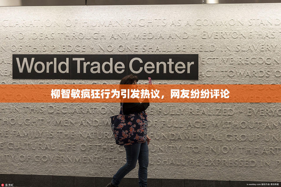 柳智敏疯狂行为引发热议，网友纷纷评论