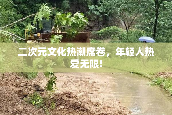 二次元文化热潮席卷，年轻人热爱无限!