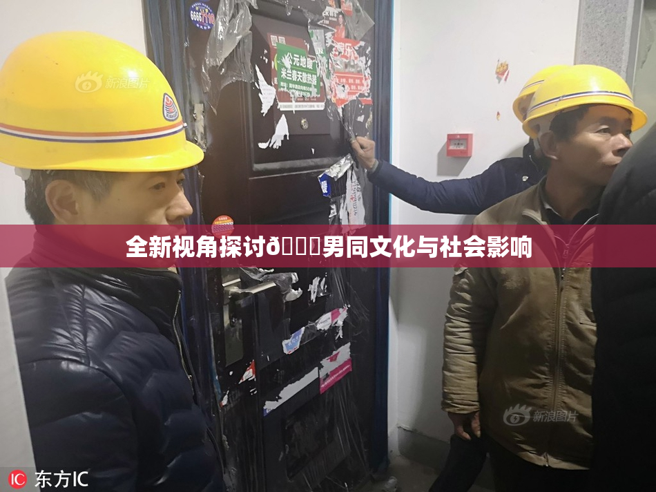 全新视角探讨🔞男同文化与社会影响