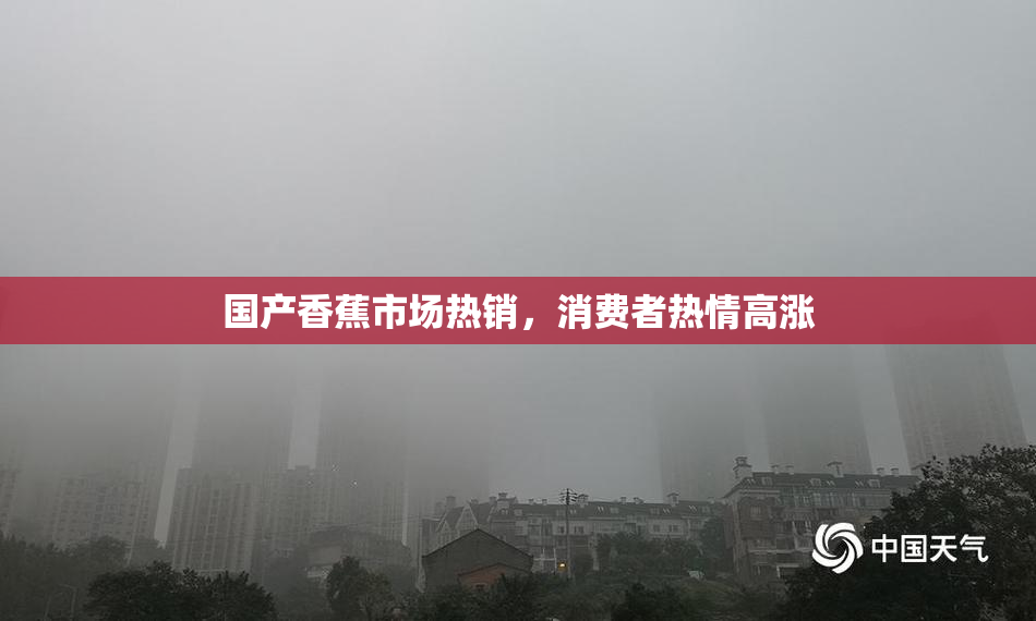 国产香蕉市场热销，消费者热情高涨