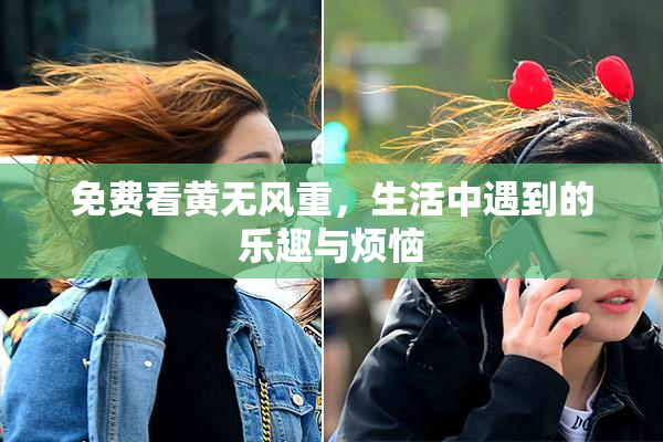 免费看黄无风重，生活中遇到的乐趣与烦恼