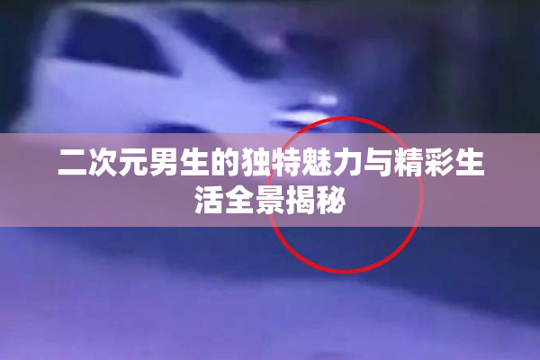二次元男生的独特魅力与精彩生活全景揭秘
