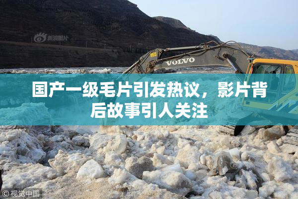 国产一级毛片引发热议，影片背后故事引人关注