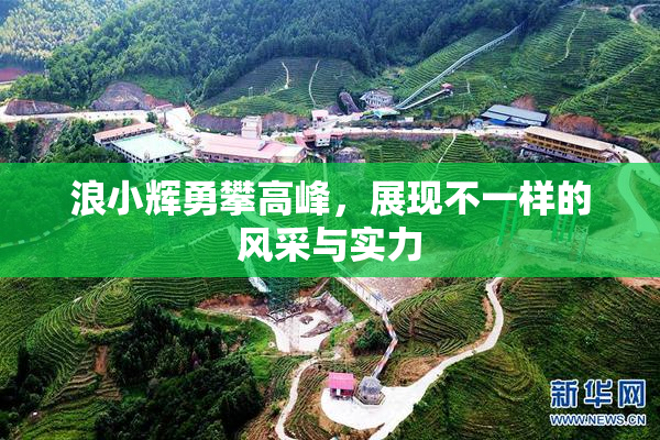 浪小辉勇攀高峰，展现不一样的风采与实力
