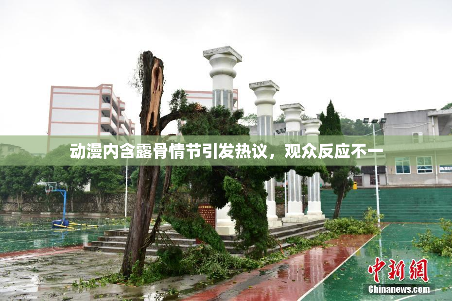 动漫内含露骨情节引发热议，观众反应不一