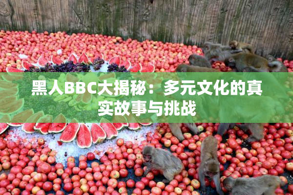 黑人BBC大揭秘：多元文化的真实故事与挑战