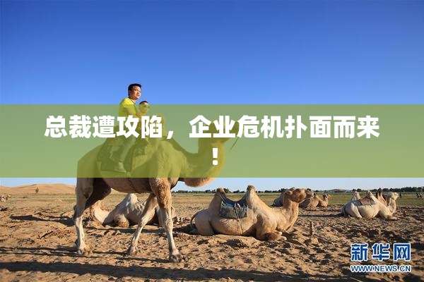 总裁遭攻陷，企业危机扑面而来！