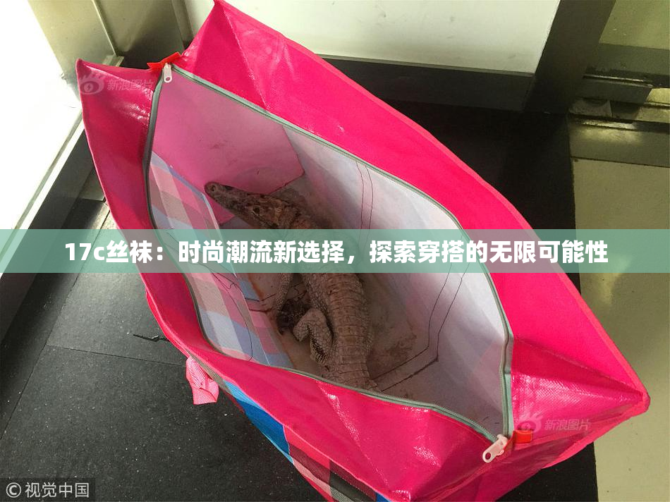 17c丝袜：时尚潮流新选择，探索穿搭的无限可能性