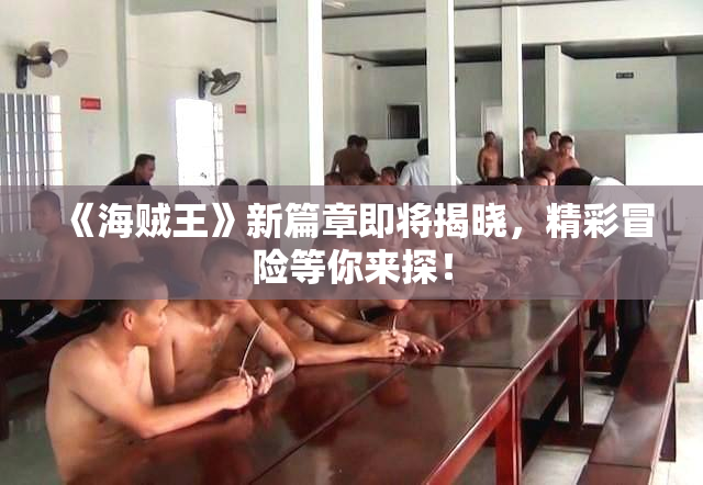 《海贼王》新篇章即将揭晓，精彩冒险等你来探！