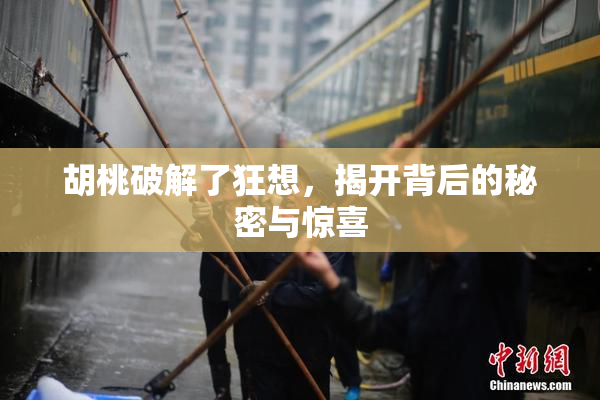 胡桃破解了狂想，揭开背后的秘密与惊喜