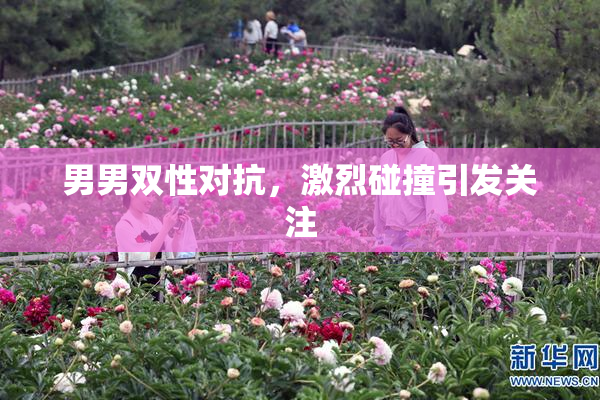 男男双性对抗，激烈碰撞引发关注