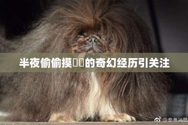 半夜偷偷摸妺妺的奇幻经历引关注