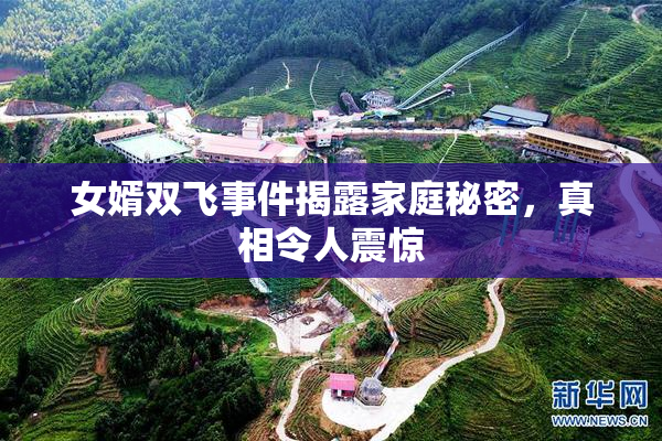 女婿双飞事件揭露家庭秘密，真相令人震惊