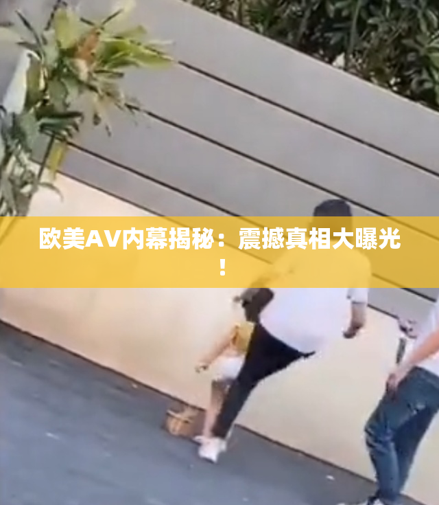 欧美AV内幕揭秘：震撼真相大曝光！