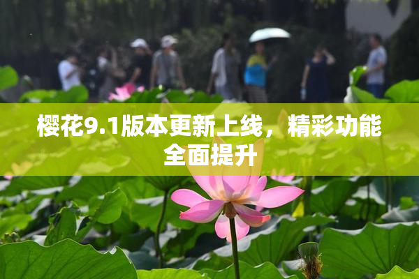 樱花9.1版本更新上线，精彩功能全面提升